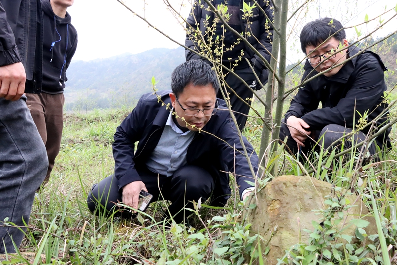 貴州省農科院專家為獨山學莊村木姜子產業探尋高產之路。