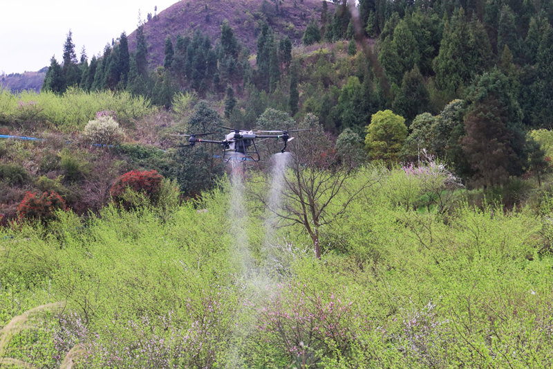 無人機作業(yè)。