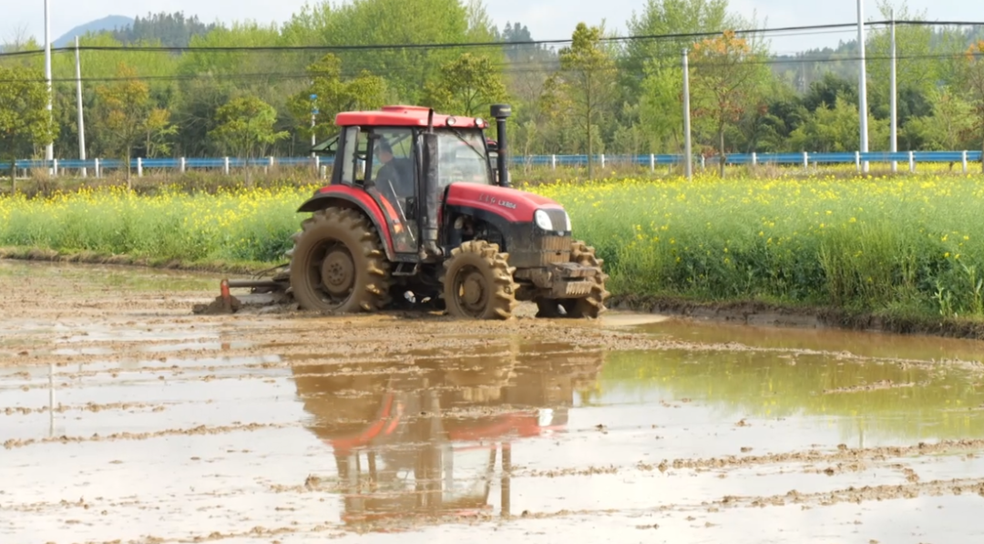 機(jī)械化育秧提效能。