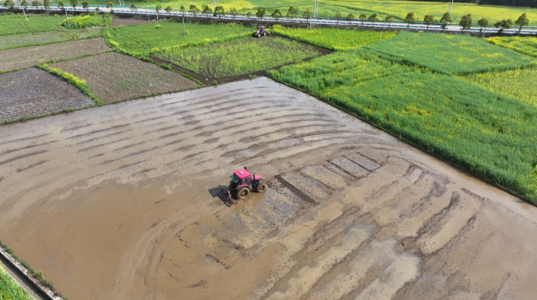 機(jī)械化育秧提效能。