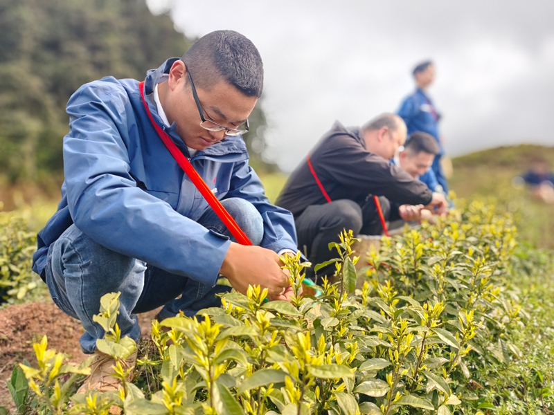 水電九局安龍風電項目部組織開展雷鋒月主題黨日活動。