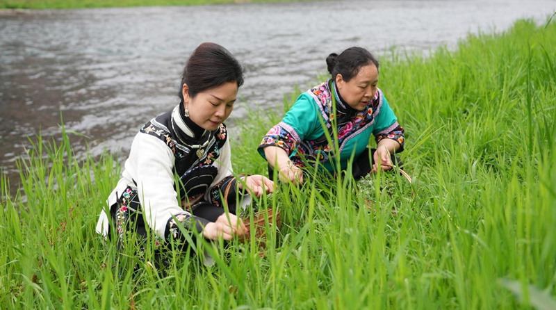 春食社飯 品盡春天滋味。