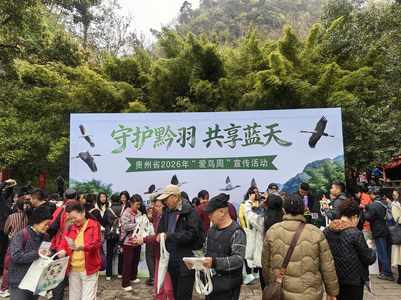 活動現(xiàn)場。