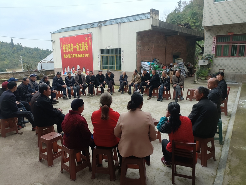 六廣鎮廣田村聯系村領導張婷在廣田村開壩壩會宣傳“大豆玉米帶狀復合種植”政策和六廣鎮”十五五“規劃.jpg
