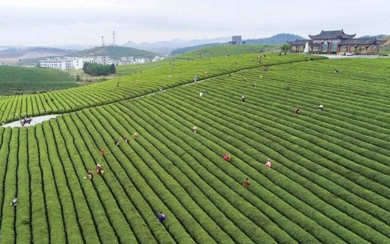 貴州松桃:學思踐悟強初心 真抓實干惠民生。