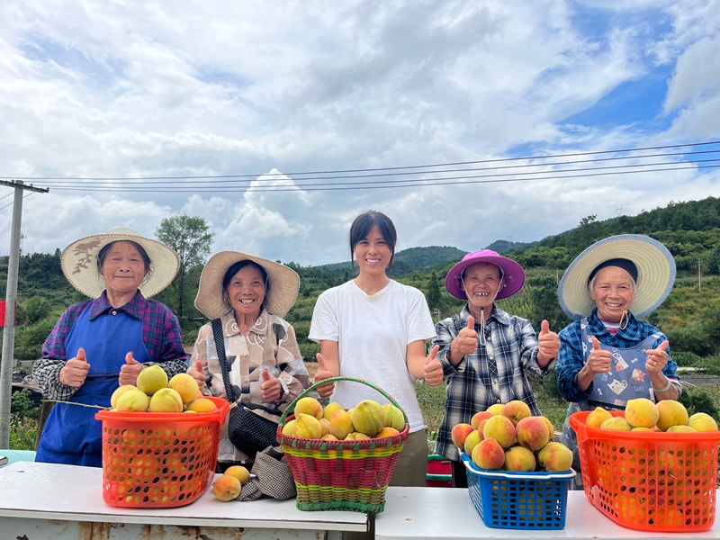 陳星星（中）幫助村民賣黃桃。鄢永華攝
