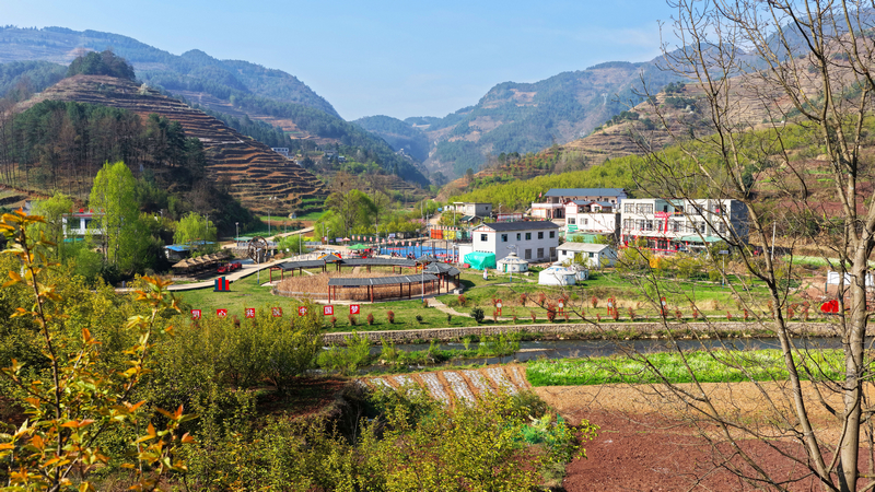 威寧自治縣大街鄉(xiāng)興隆廠村，草木抽芽、綠意初綻，滿是早春蓬勃朝氣。