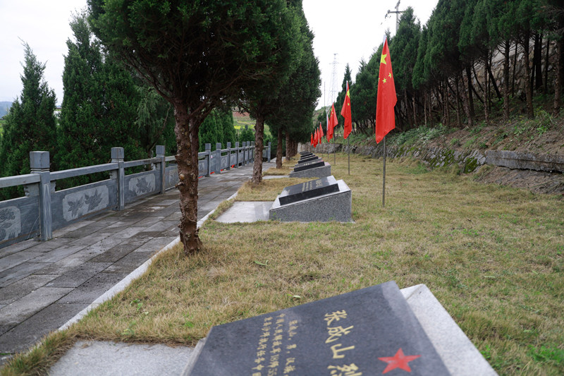 清理后的烈士墓區(qū)干凈整潔。