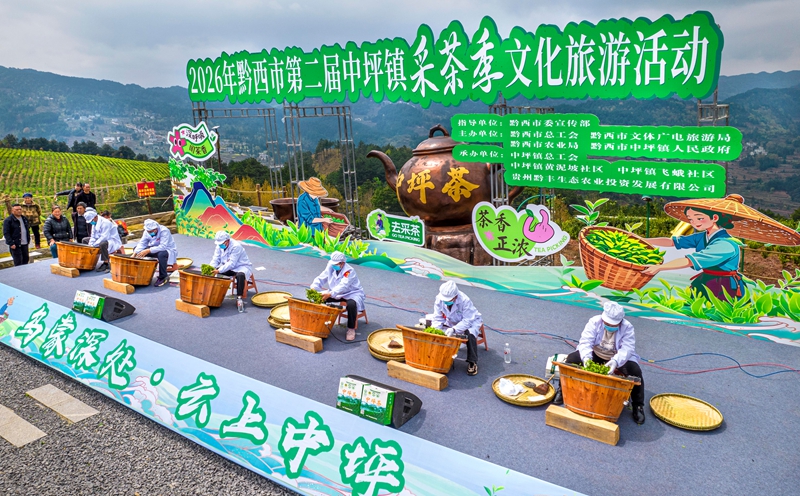 2026年3月26日，村民在貴州省黔西市中坪鎮黃泥坡社區茶園開展手工制茶比賽（無人機照片）。