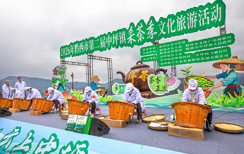2026年3月26日，村民在貴州省黔西市中坪鎮(zhèn)黃泥坡社區(qū)茶園開(kāi)展手工制茶比賽。