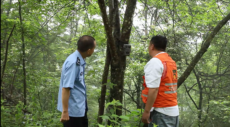 圖為執法人員在梵凈山保護區安裝紅外攝像機。 梵管局供圖