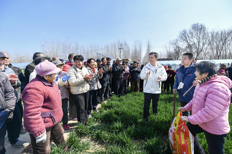 田間地頭,農(nóng)戶們與滕先華開心交流,分享心得。