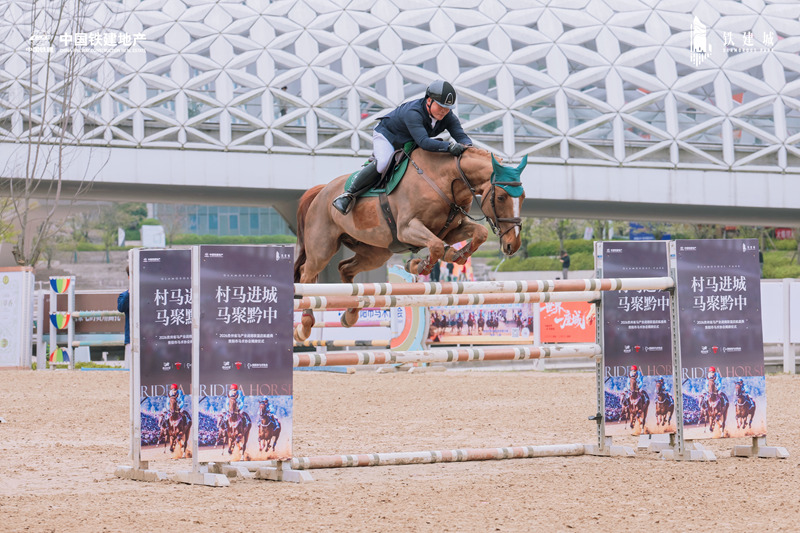 專業馬術障礙騎乘表演。