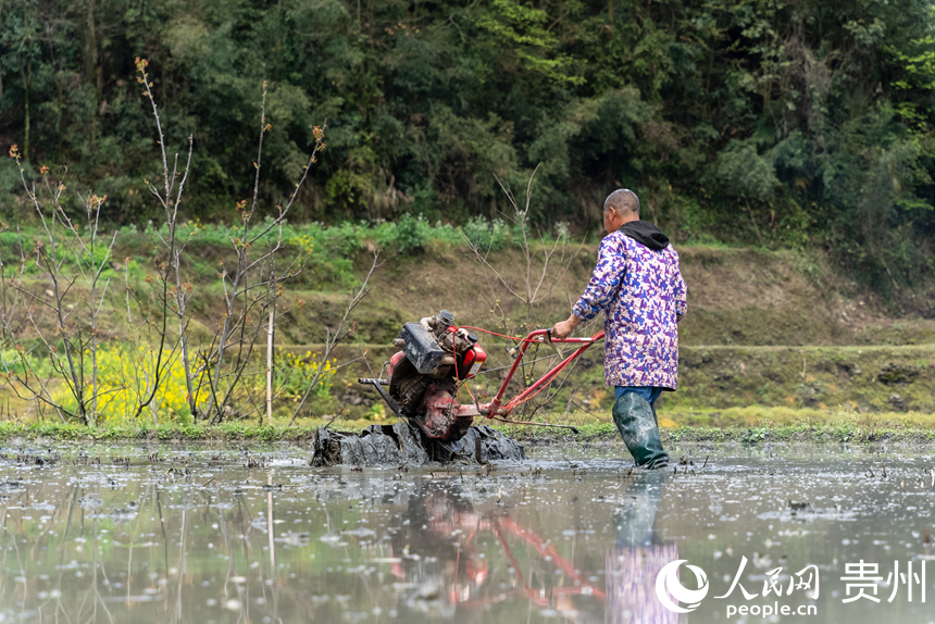 農(nóng)戶操作旋耕機(jī)在梯田內(nèi)耕地。人民網(wǎng)記者 涂敏攝