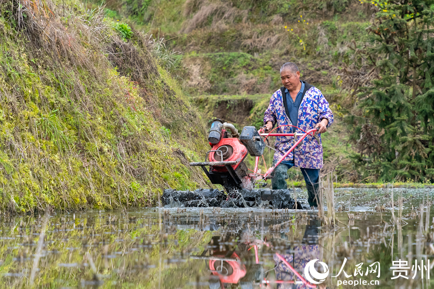農戶操作旋耕機在梯田內耕地。人民網記者 涂敏攝