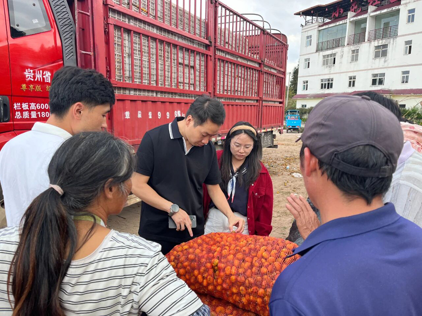 師生團(tuán)隊(duì)實(shí)地調(diào)研。