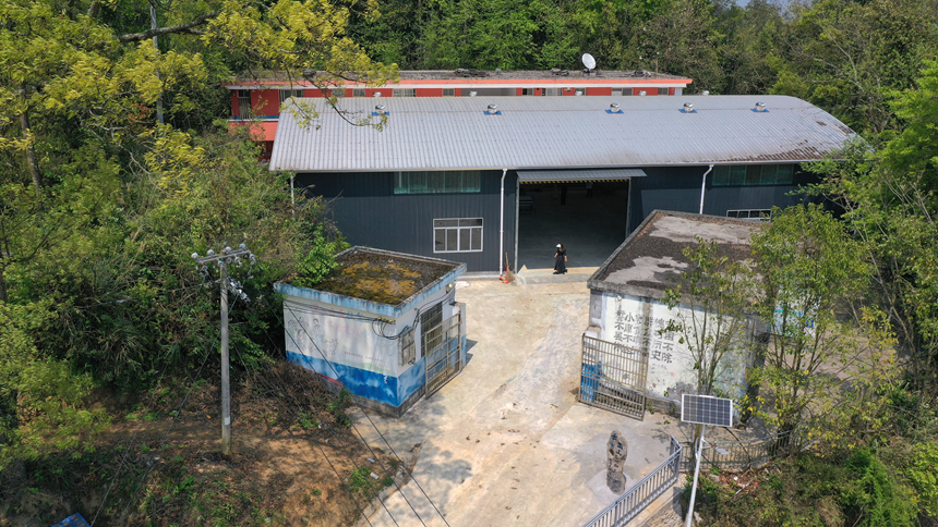 “南網茶”加工車間。盧關文攝