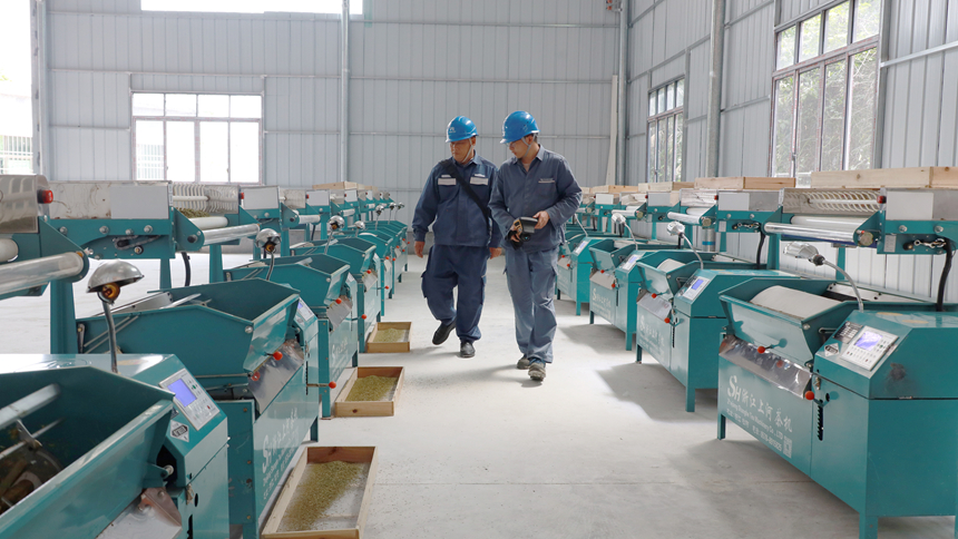 4、南方電網安龍供電局工作人員到制茶車間開展用電巡檢服務。盧關文攝