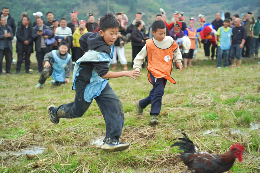 施秉縣馬號鎮(zhèn)體育大拜年·民族大聯(lián)歡抓雞比賽。