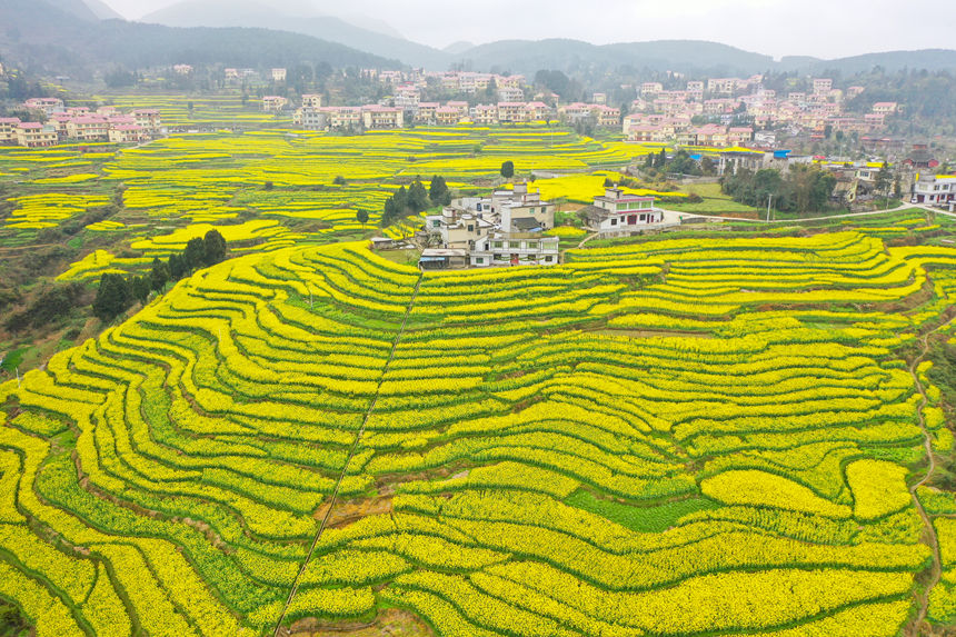 銀水村美麗風光。