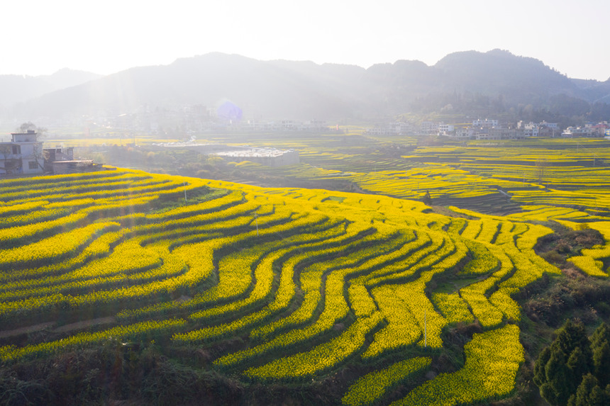 銀水村美麗風光。
