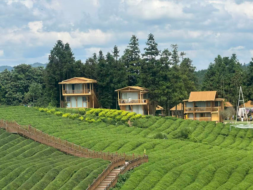 貴州黎平入選全國(guó)茶鄉(xiāng)旅游精品線路。