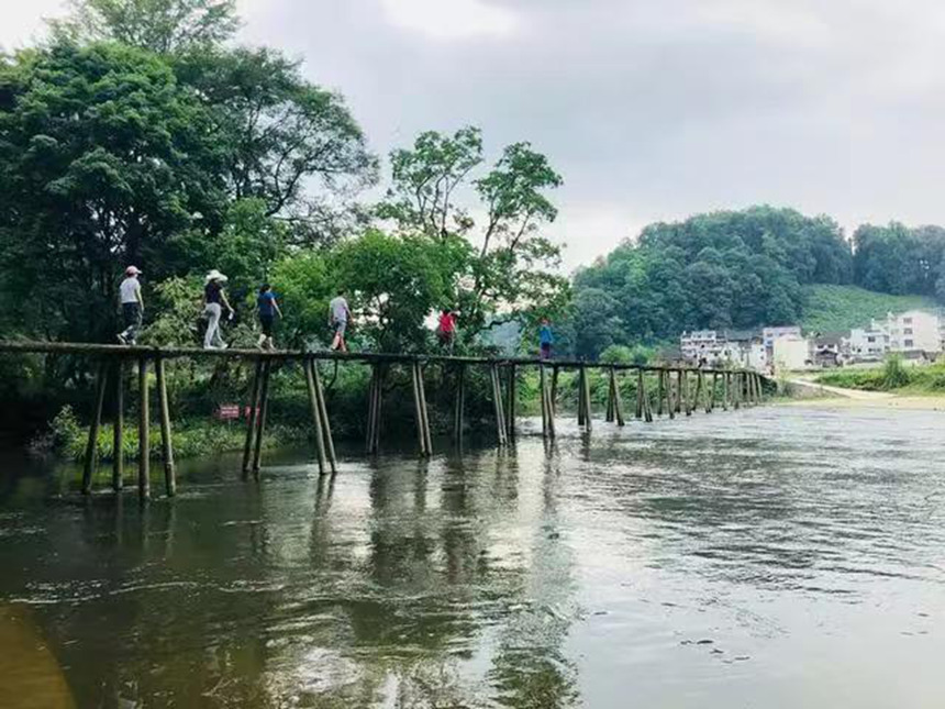 貴州黎平入選全國(guó)茶鄉(xiāng)旅游精品線路。