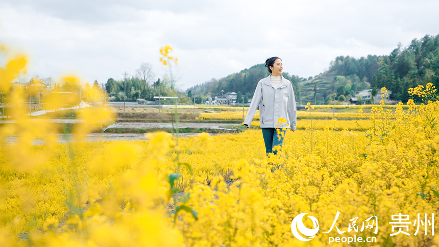 盛開的油菜花。人民網(wǎng)記者 涂敏攝