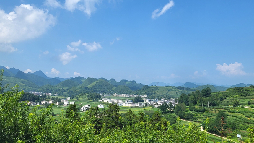 田園官倉。王華秦?cái)z