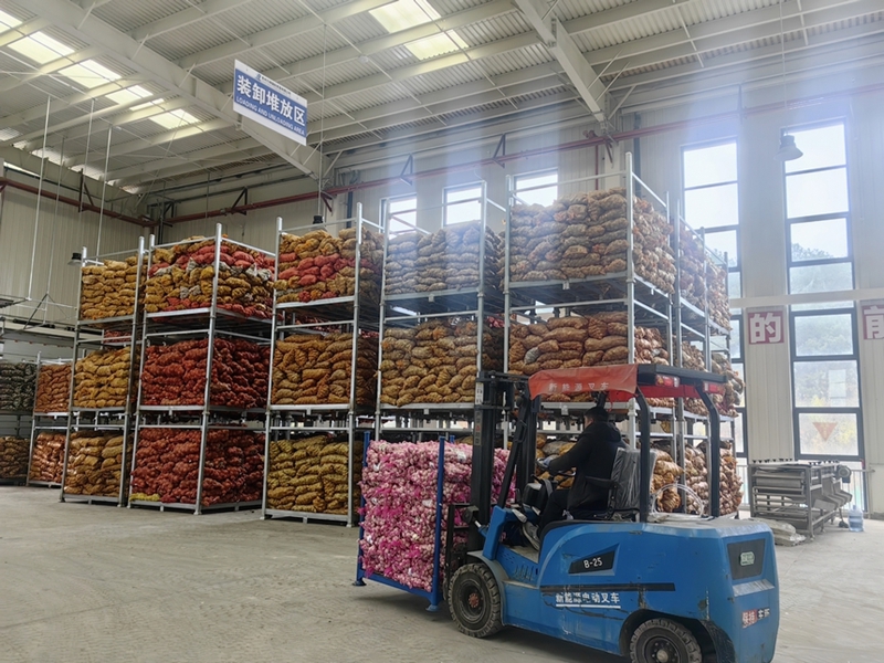 3 土豆、大蒜、生姜等貴州特色農產品.jpg