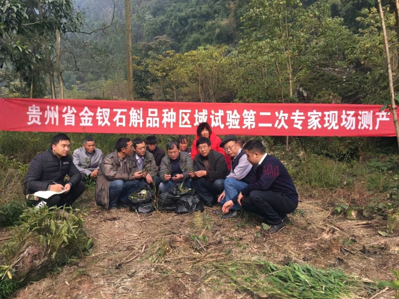 專(zhuān)家團(tuán)隊(duì)走進(jìn)田間地頭。