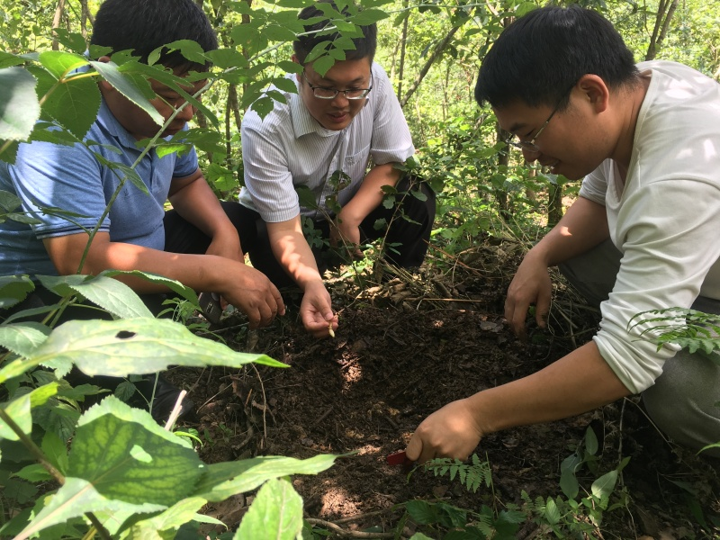 專(zhuān)家團(tuán)隊(duì)走進(jìn)田間地頭。