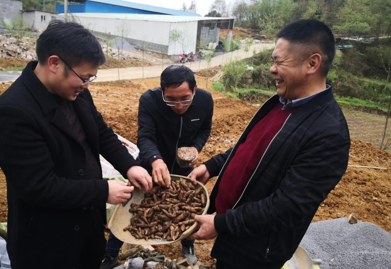 專(zhuān)家團(tuán)隊(duì)走進(jìn)田間地頭。