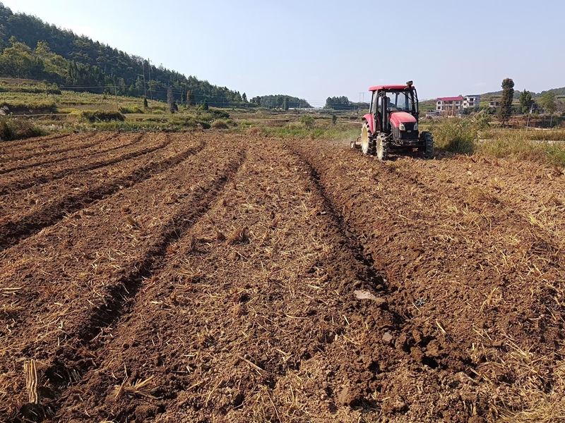 松桃迓駕鎮：春耕備耕正當時 沃野田疇繪新篇。