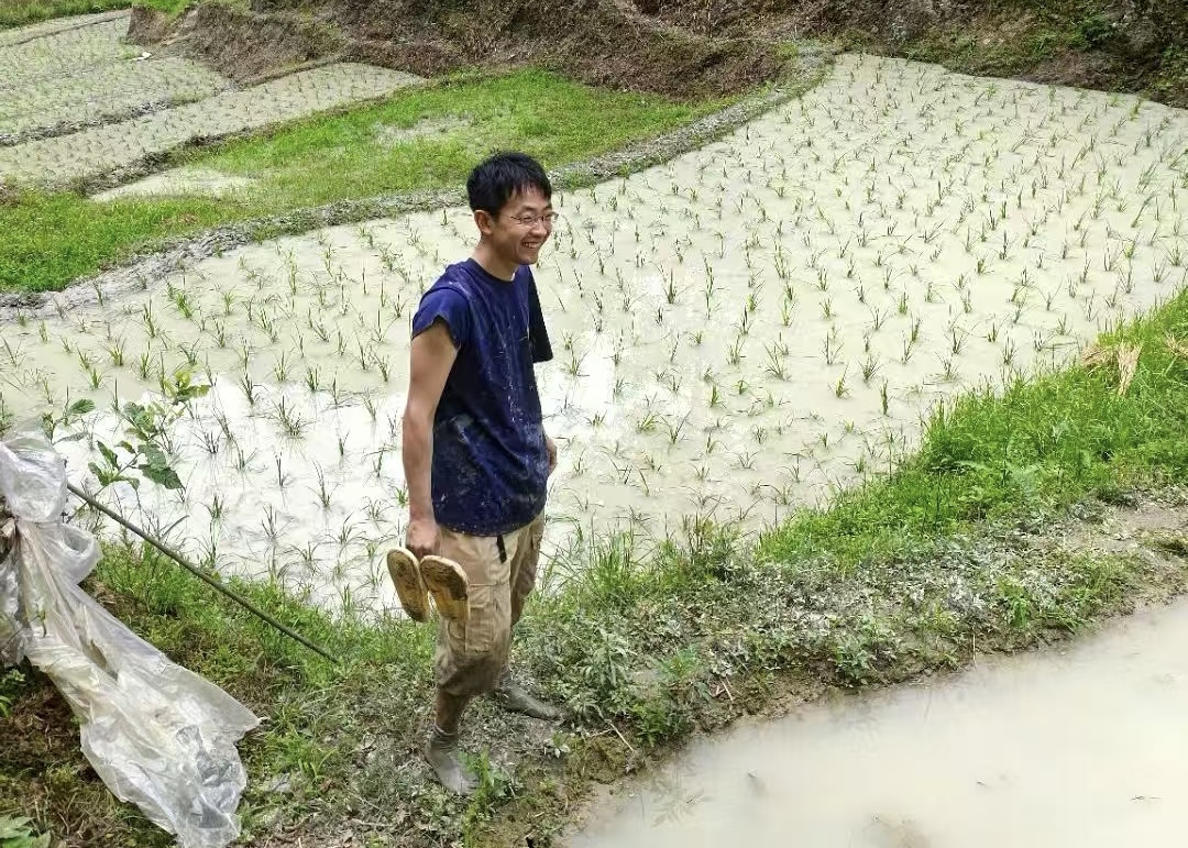 彭小凡在稻田中勞作。