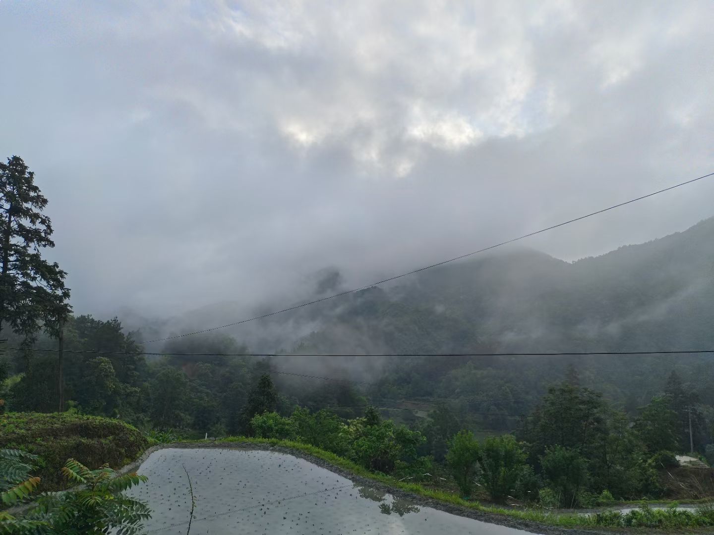 雙山村自然風貌。