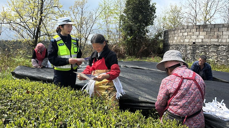“茶山警務(wù)”守護(hù)春茶香。
