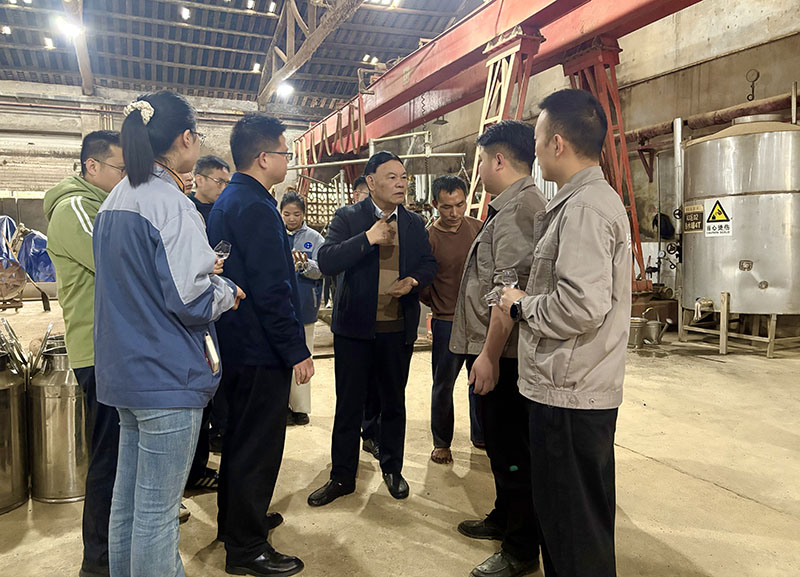 在筑春酒業生產車間,深耕醬酒行業40余載的醬香酒匠曹大明正俯身查看酒醅發酵情況,為車間員工進行一對一實操性技術指導。