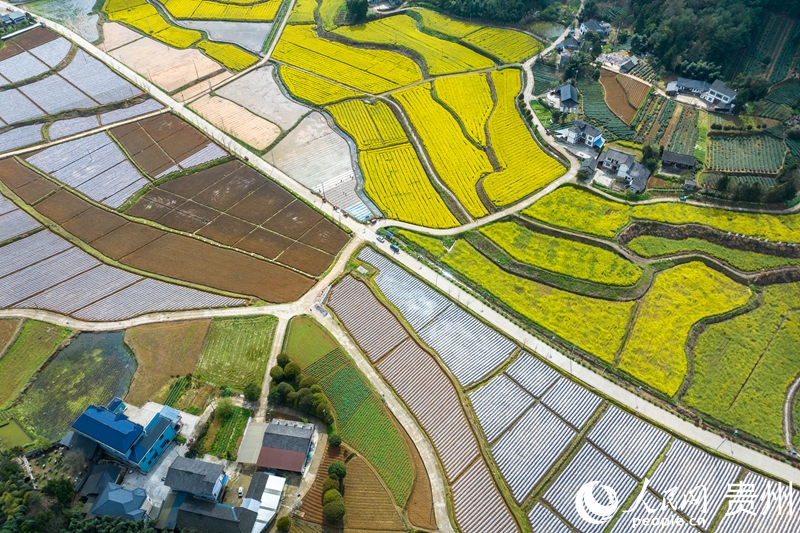 航拍貴州省遵義市鳳岡縣進化鎮田園風光。人民網 陽茜攝