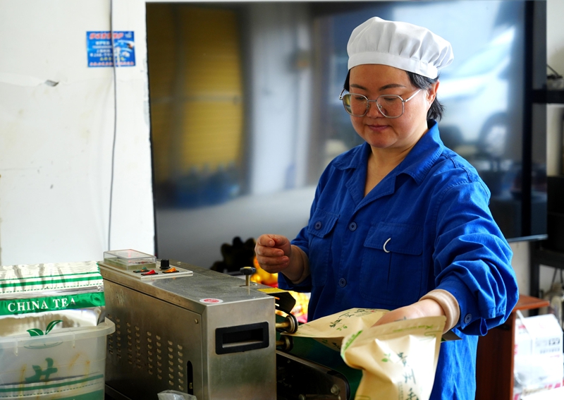 加工車間內(nèi)包裝茶葉。.jpg