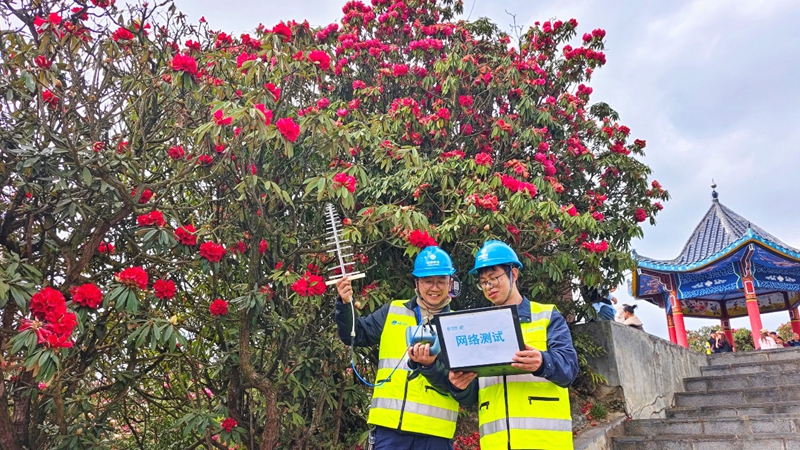 百里杜鵑景區(qū)網(wǎng)絡(luò)現(xiàn)場(chǎng)測(cè)試。.jpg