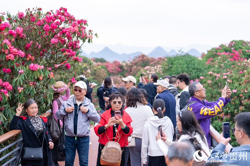 游客在景區內游覽。人民網記者 涂敏攝