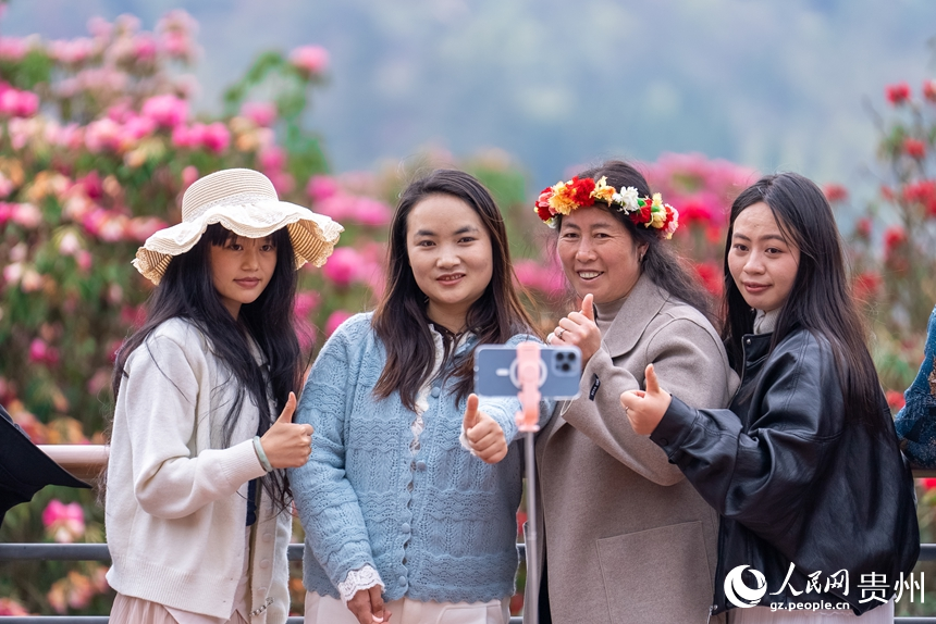 游客在盛開的杜鵑花前打卡拍照。人民網記者 涂敏攝
