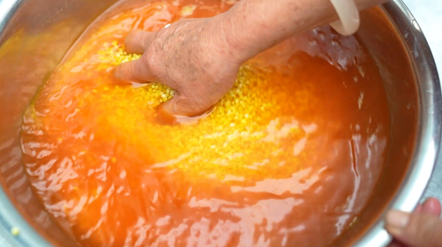 染飯花水泡糯米。