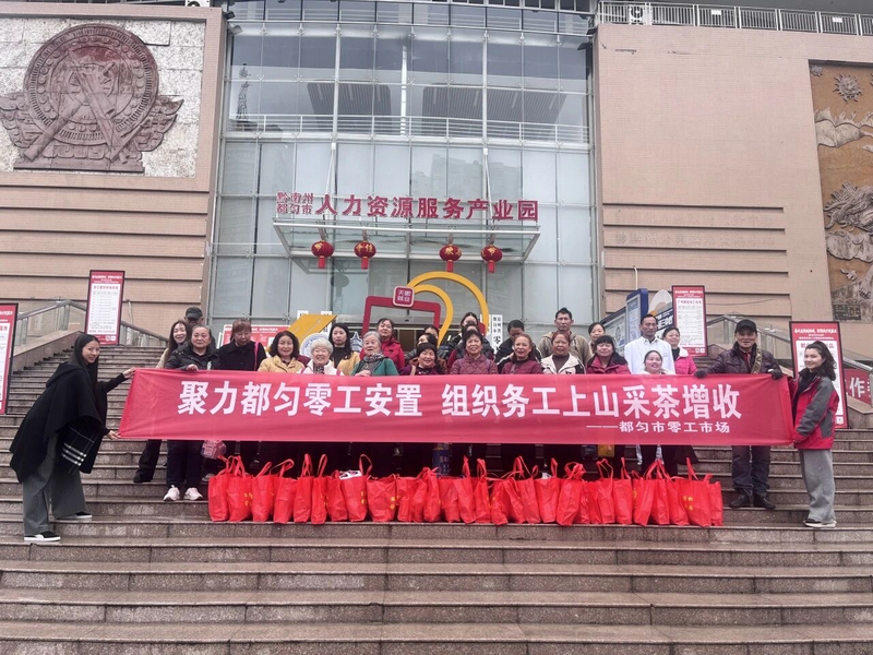 都勻市零工市場組織群眾開展采茶務工。