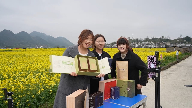 3月21日,貴定縣金海雪山景區(qū)內(nèi),該縣邀請(qǐng)電商專業(yè)院校師生現(xiàn)場(chǎng)直播帶貨,為鄉(xiāng)村振興注入數(shù)字新動(dòng)能。圖為貴州電子商務(wù)職業(yè)技術(shù)學(xué)院學(xué)生正在進(jìn)行直播帶貨。 (3).jpg