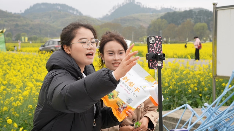 3月21日,貴定縣金海雪山景區(qū)內(nèi),該縣邀請(qǐng)電商專業(yè)院校師生現(xiàn)場(chǎng)直播帶貨,為鄉(xiāng)村振興注入數(shù)字新動(dòng)能。圖為貴州電子商務(wù)職業(yè)技術(shù)學(xué)院學(xué)生正在進(jìn)行直播帶貨。 (5).jpg