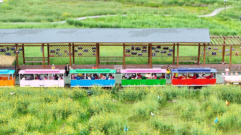 把課堂搬進“春天里”。