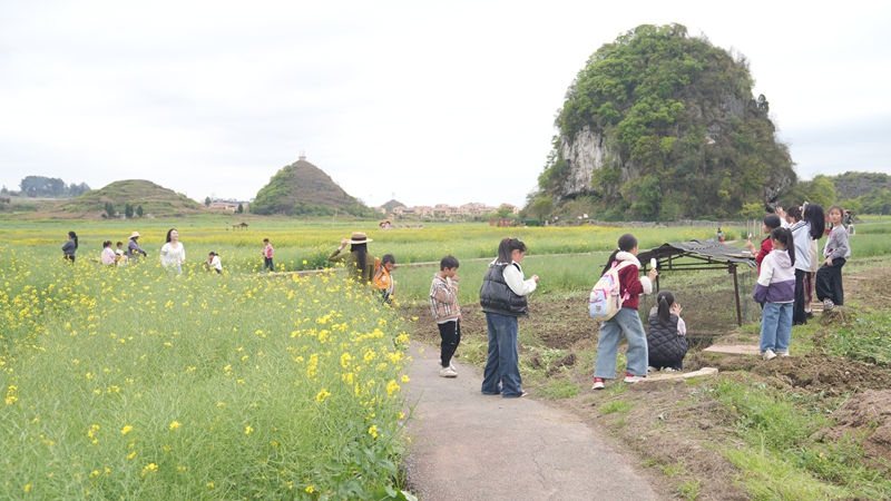把課堂搬進“春天里”。
