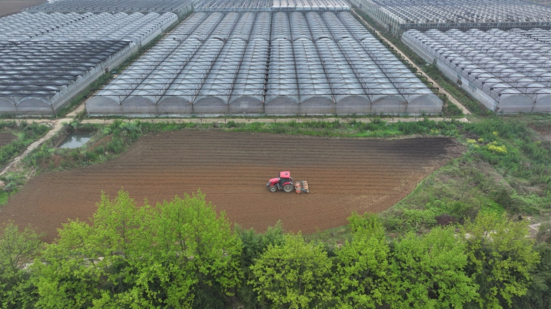 平壩:“鐵牛”馳騁在沃野間 機械化助力春耕生產。